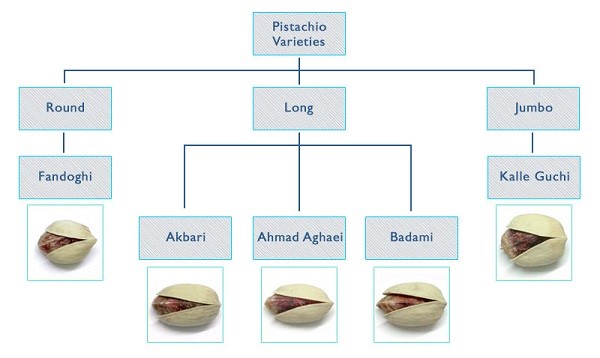 Variedades de pistacho iraní