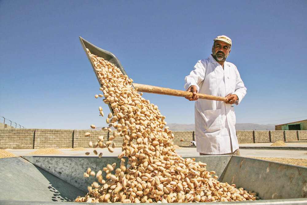 L'alarme/politique d'exportation de pistaches de l'Iran semble ne pas fonctionner, ne l'attribuez pas à la météo !