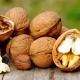 Iran ranks third in walnut production: Absence of Iranian walnut in the world trade market