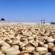 La crisis del agua y la caída de la exportación del producto agrícola más importante de Irán