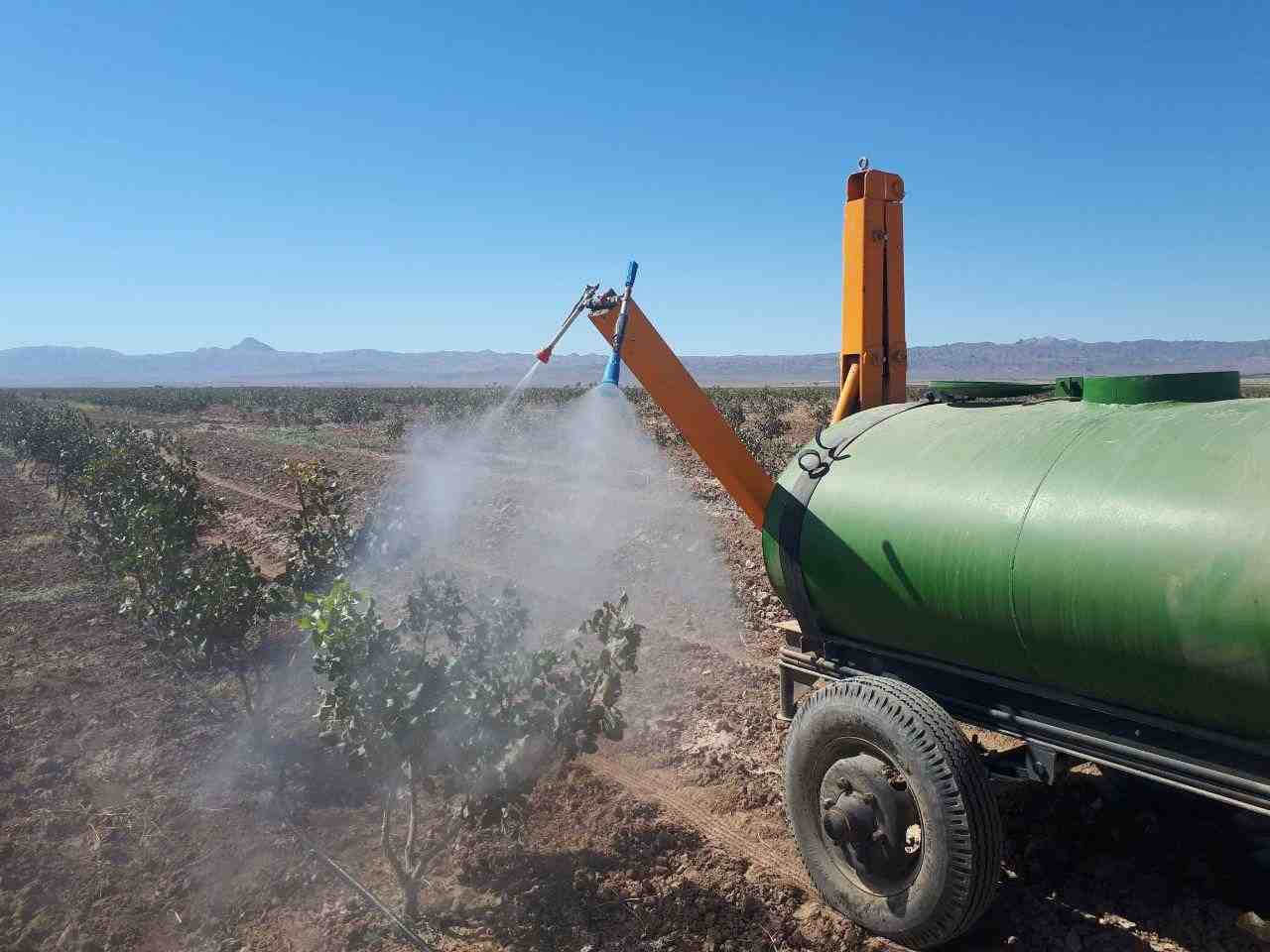 Alarma en el mercado europeo del pistacho iraní: peligros de la fumigación excesiva en los huertos de pistachos