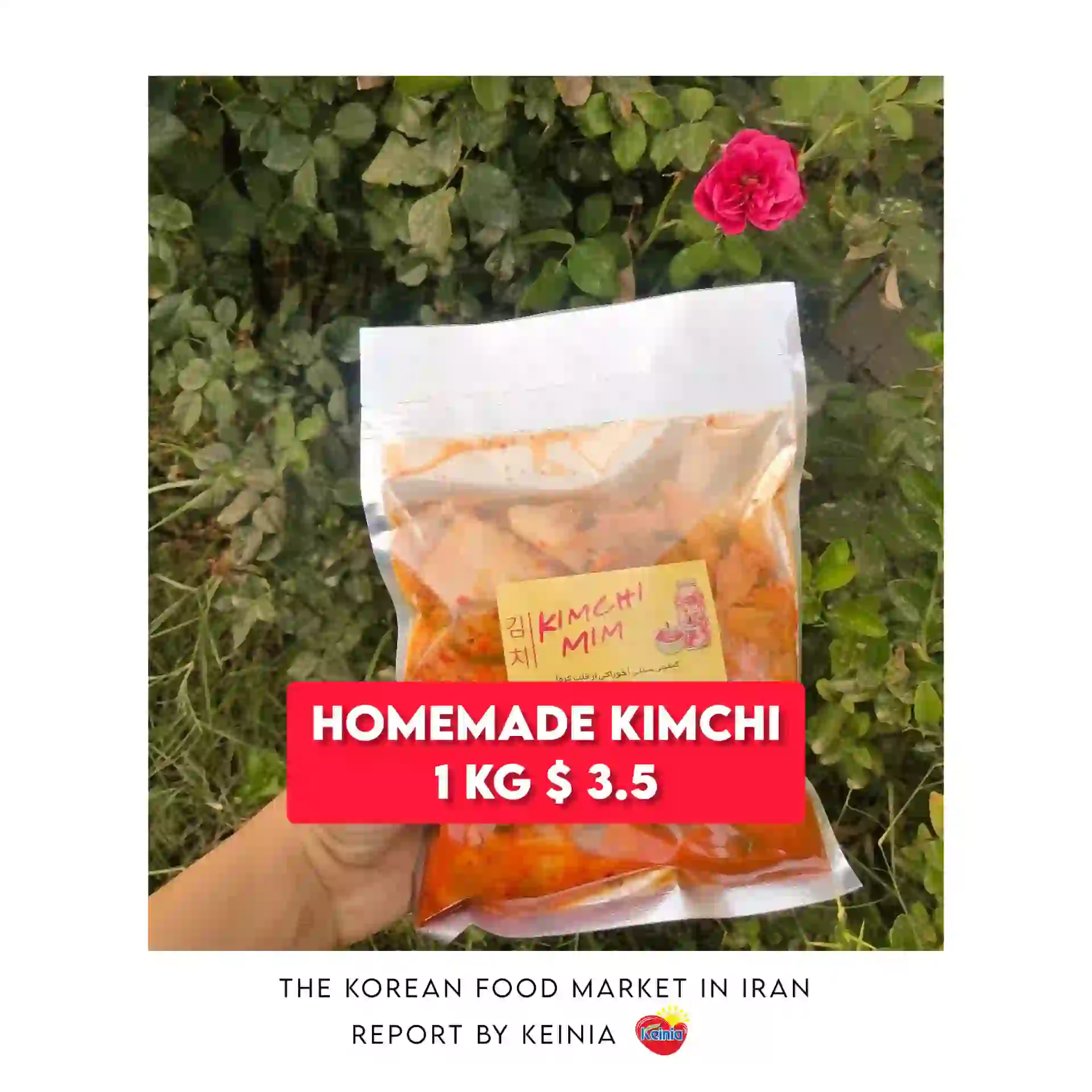 homemade Kimchi in Iran