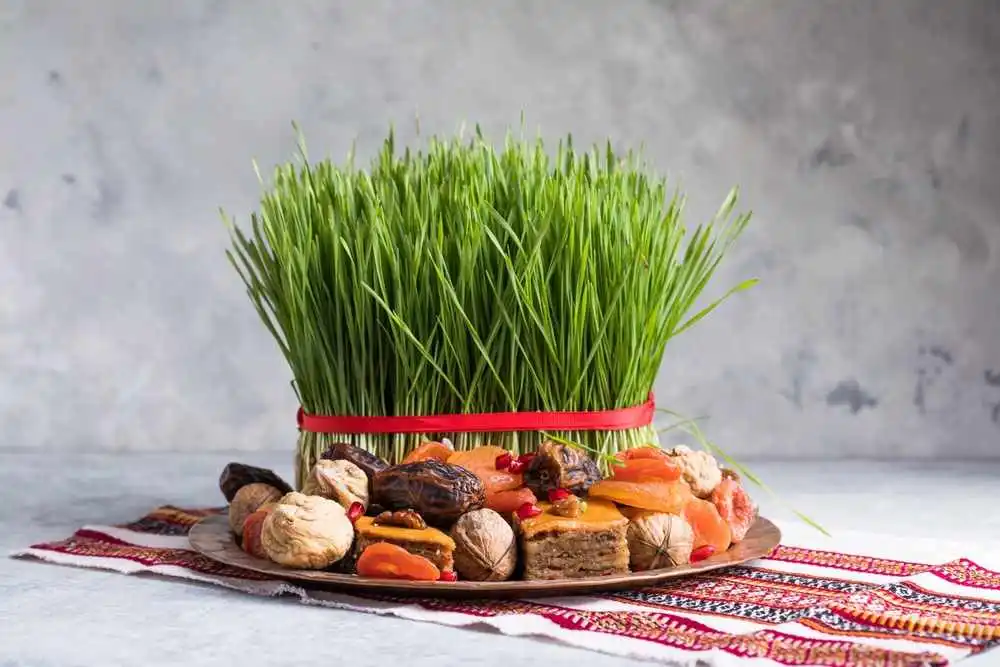 Todo lo que debe saber sobre las nueces de Nowruz (Ajil) y más