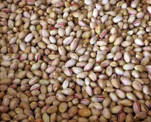 Iranian Pistachio Market: Production of 240,000 Tons of Pistachio and Decline in Exports