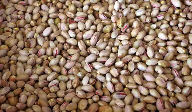 Iranian Pistachio Market: Production of 240,000 Tons of Pistachio and Decline in Exports