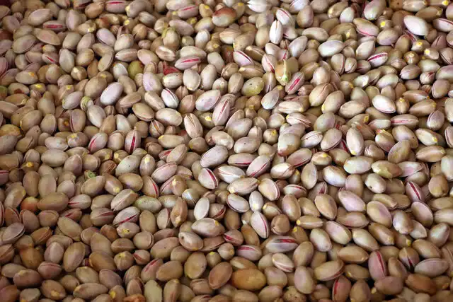 Marché iranien de la pistache : Production de 240 000 tonnes de pistaches