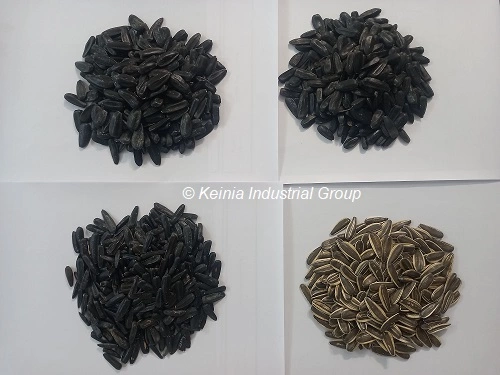 types of sunflower seeds